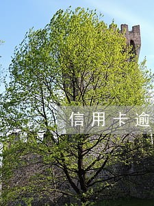 信用卡逾期 老婆知道了 信用卡逾期 老婆知道了